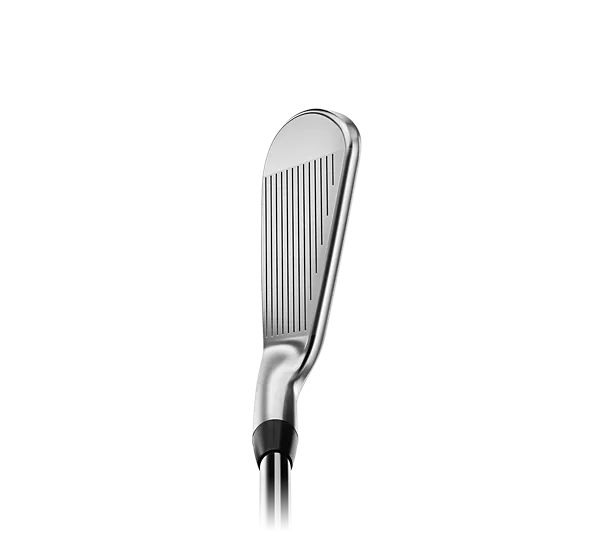 Titleist T200 Irons