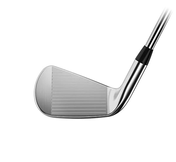 Titleist T200 Irons