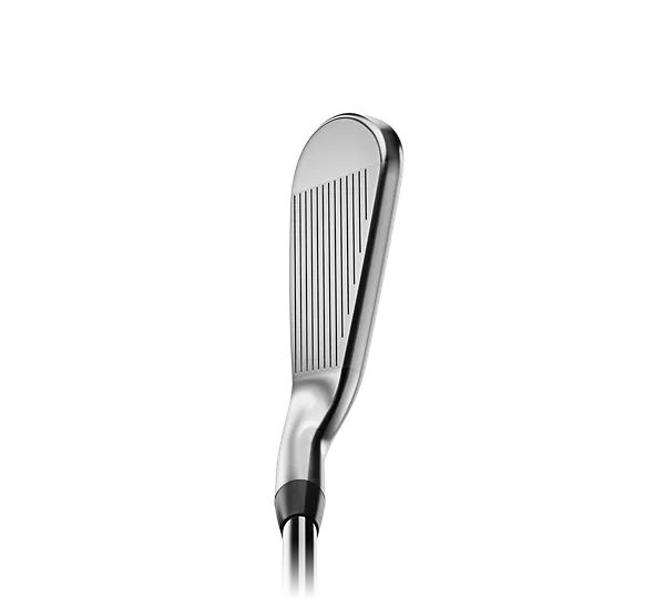 Titleist T350 Irons