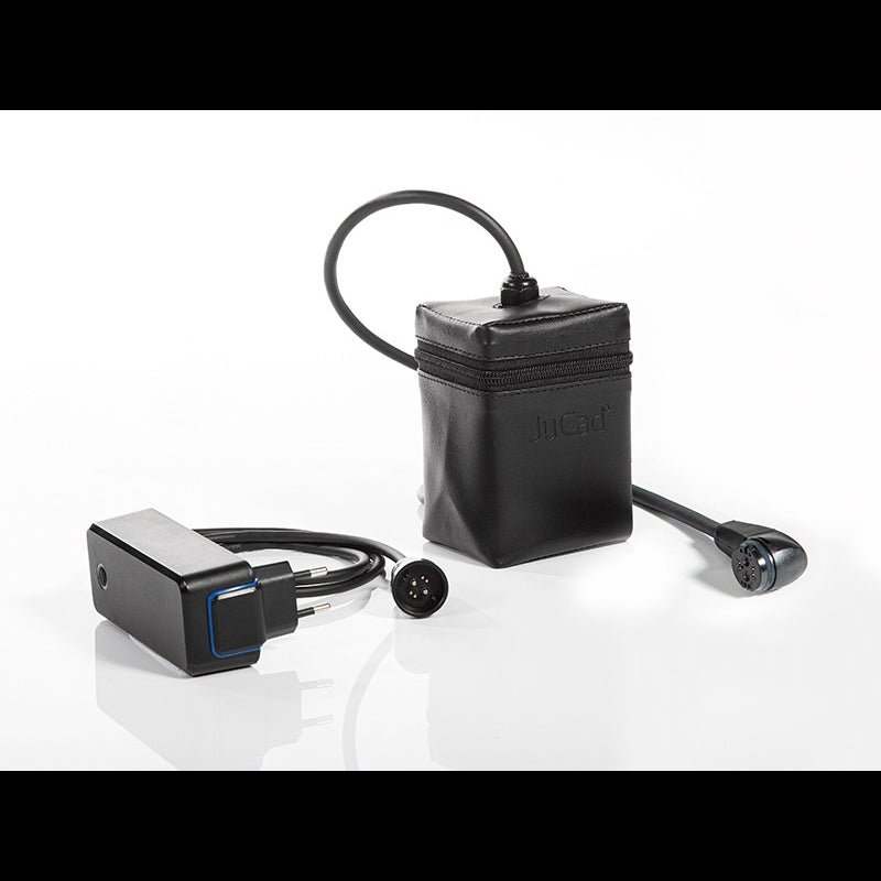 Chariot Electrique JuCad Carbon Travel Racing 2.0