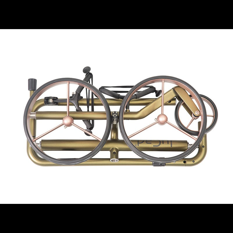 JuCad Carbon Travel Green Rosé 2.0 Elektrotrolley