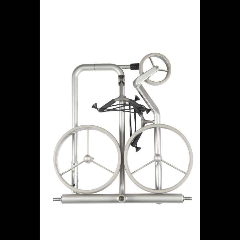 Chariot Electrique JuStar CARBON Light