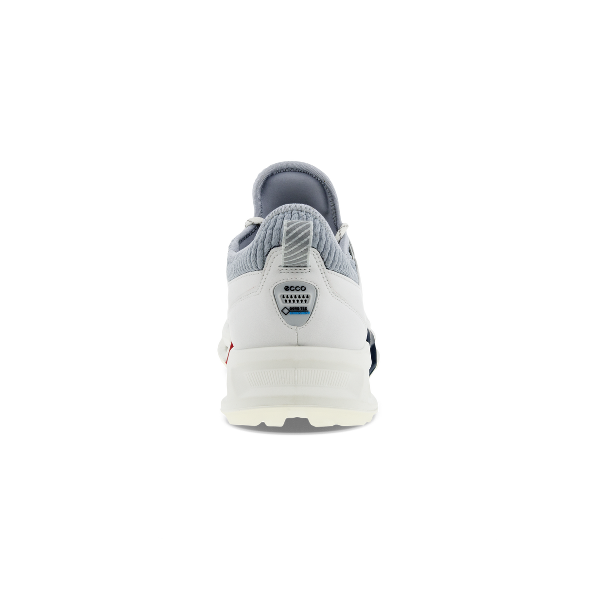 Chaussures ECCO Golf BIOM C4