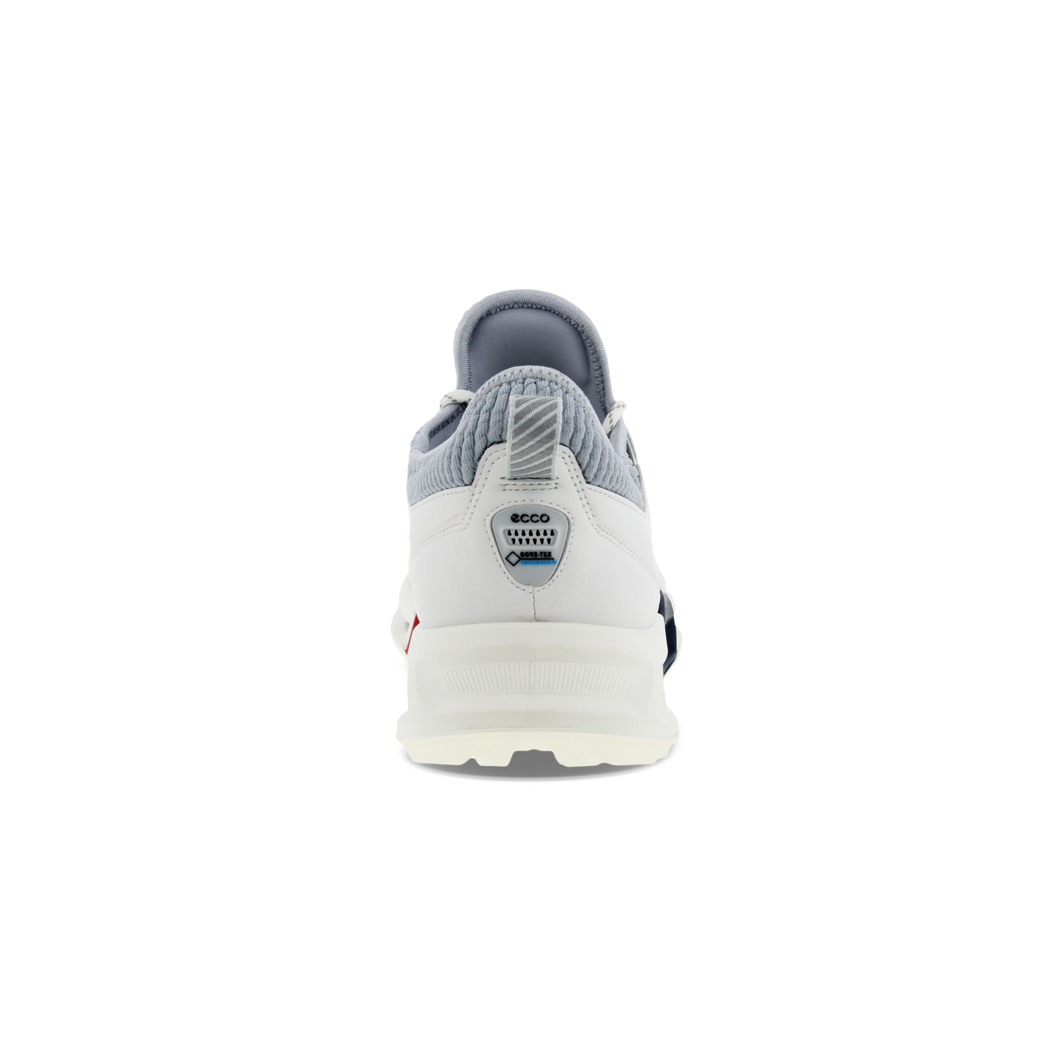 Chaussures ECCO Golf BIOM C4