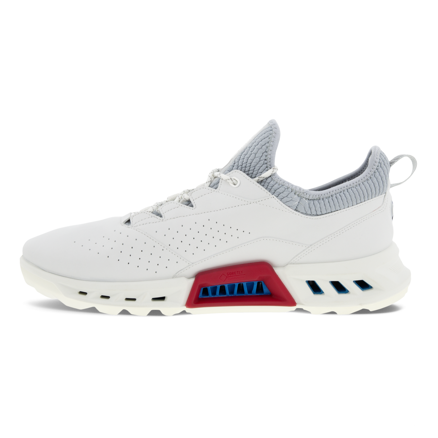 Chaussures ECCO Golf BIOM C4