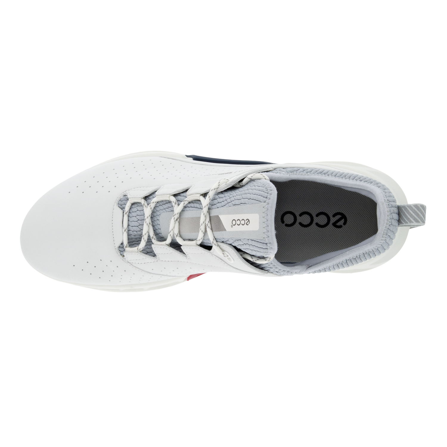 Chaussures ECCO Golf BIOM C4