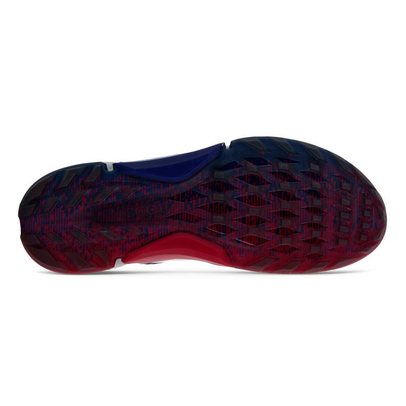 Chaussures de golf Ecco - Biom H4 BOA
