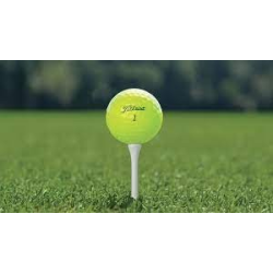 Titleist Pro v1 YELLOW