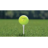 Titleist Pro v1 YELLOW