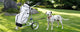 Accessoires chariots