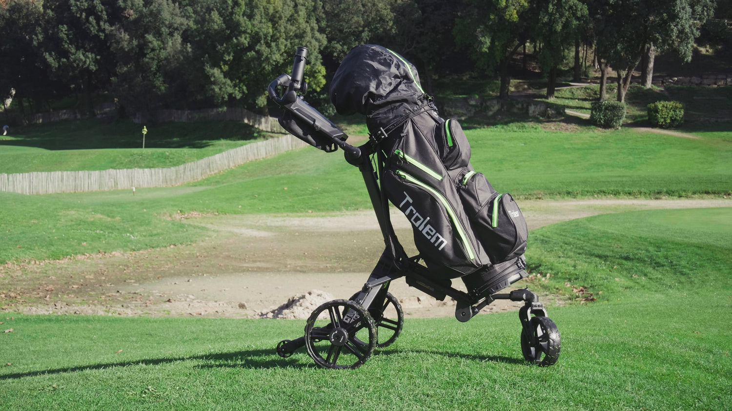 Albatross A1 Electric Cart