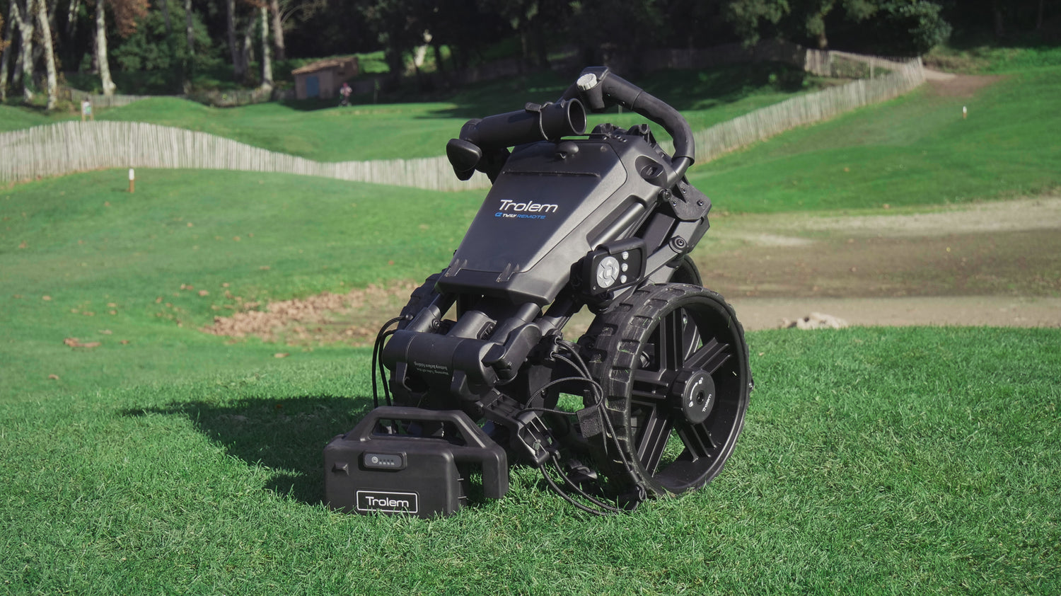 Albatross A1 Electric Cart