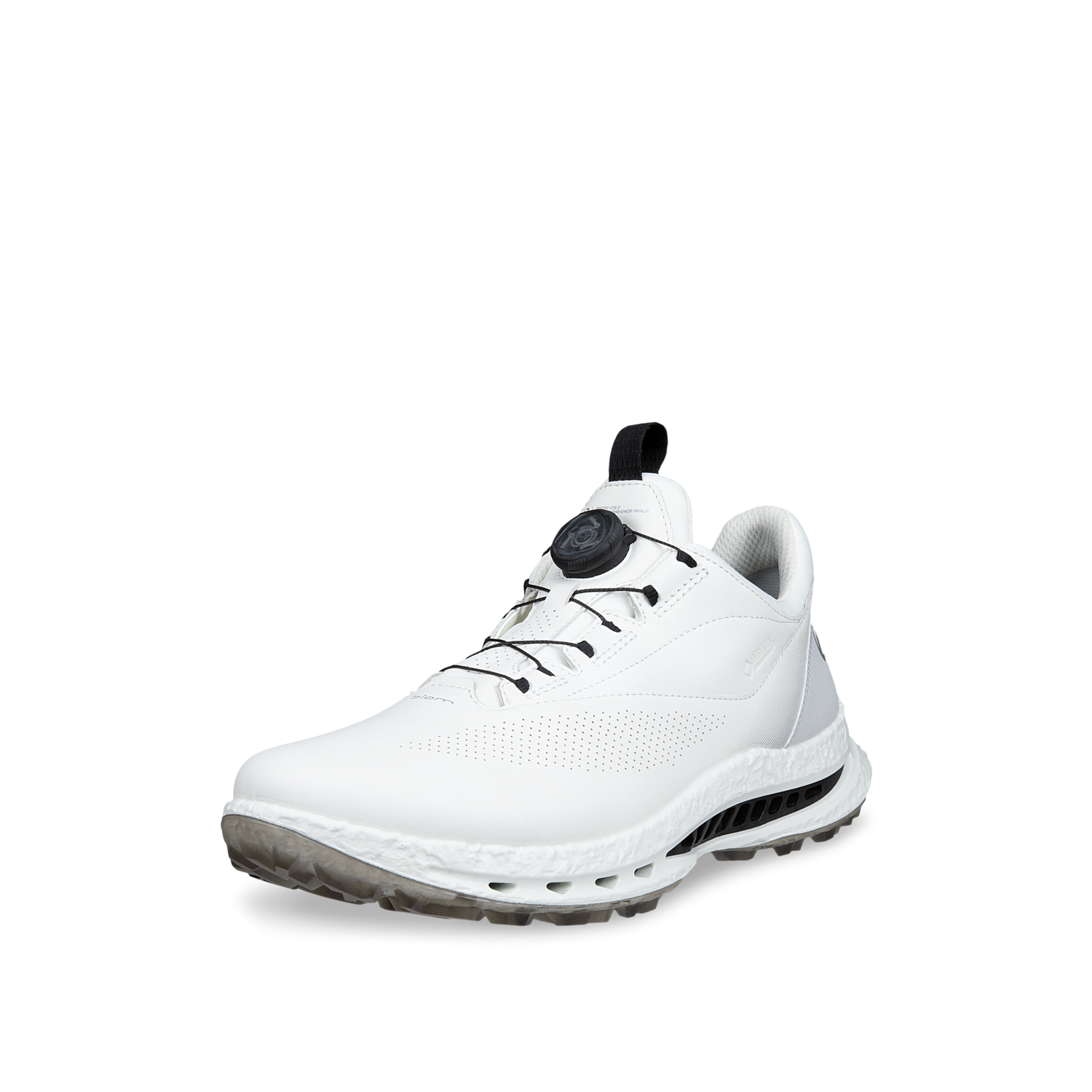 Chaussures ECCO - Biom Boa C5