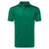 Polo Footjoy Painted Floral Lisle