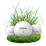24 Titleist Pro v1 Recycled Grade A Balls